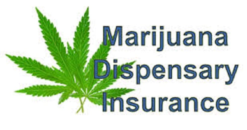 Best Marijuana Insurance Companies