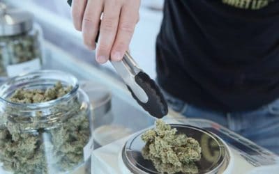 15 Marijuana Dispensaries To Explore In California In 2020