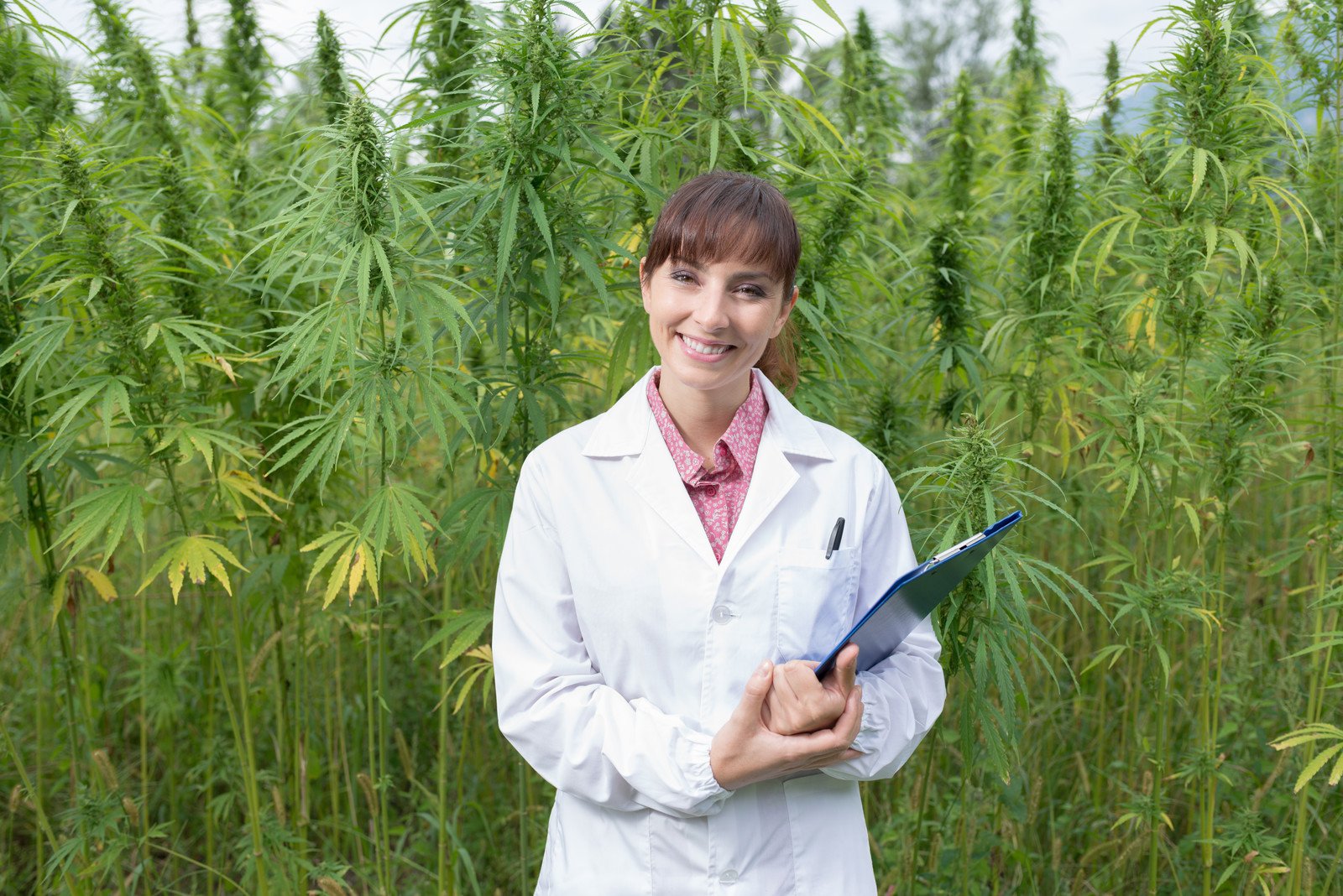 Pot doc standing in front of a field of marijuana plants.