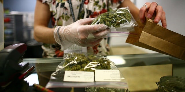 Top Marijuana States For Cannabis Stock. Women packing cannabis in a paper bag.
