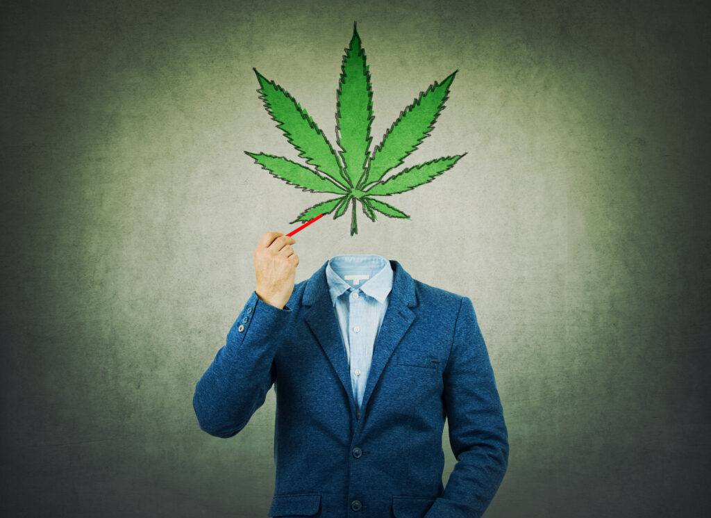 Top marijuana businesses. Man with a marijuana leaf as his head.