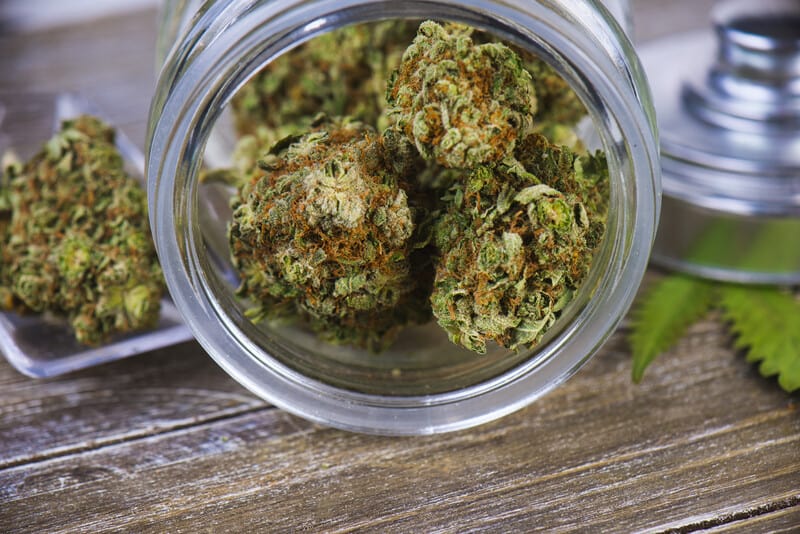 cannabis flower in a jar, cannabis dispensaries in denver