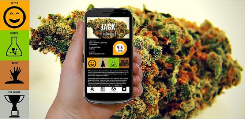Top Marijuana Apps For Business