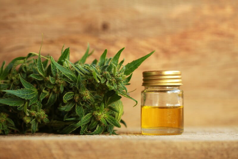 oil in a jar next to marijuana leaves, benefits of cannabis oil