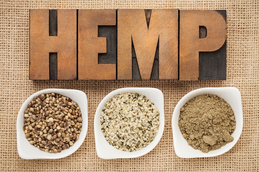 hemp seeds, hearts and protein, hemp uses
