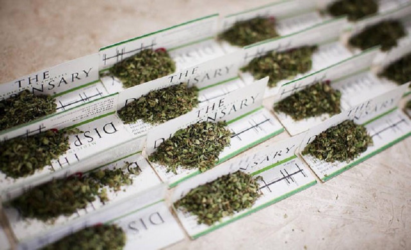 Top Cannabis Strains With The Highest Yield. Cannabis on papers.