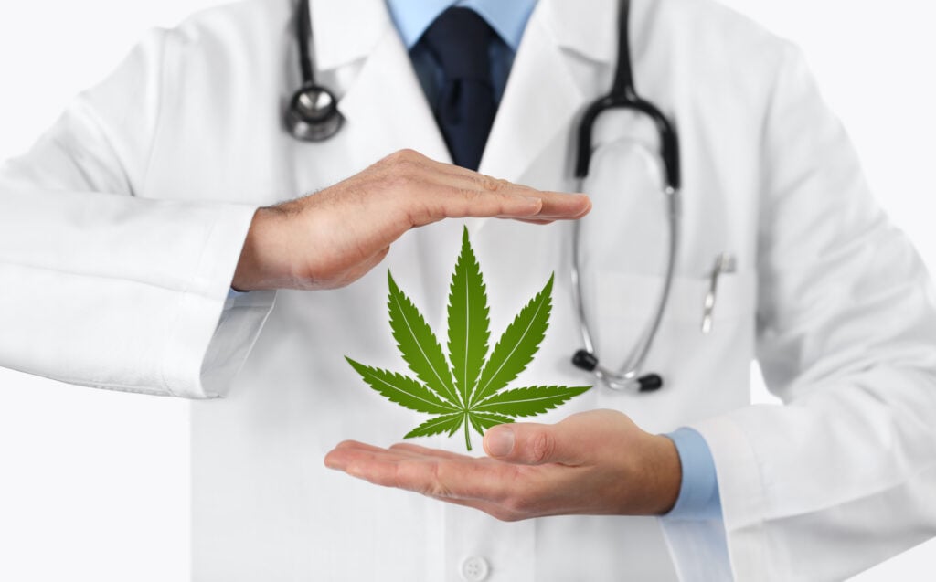 Cannabis docs in Main. Doctor holding a marijuana leaf.