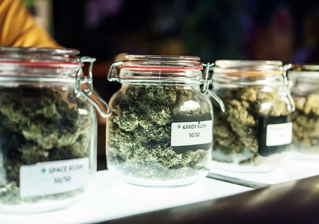 Jars Of Cannabis Flowers, best cannabis deals in Denver