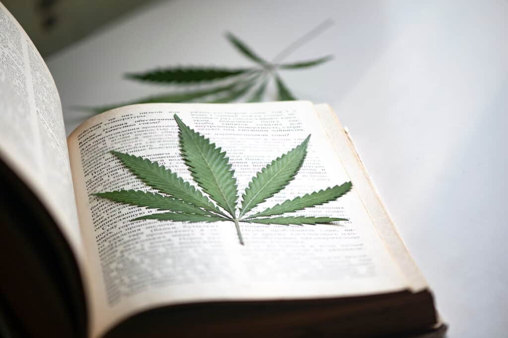cannabis leaf on an open book, top marijuana books