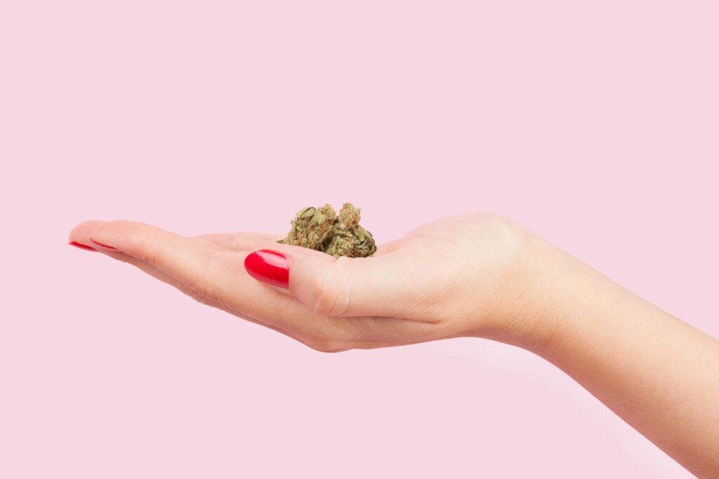 Top Marijuana Crushes For 2017. Weed bud in hand.