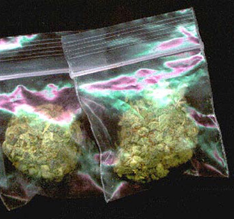 Best Marijuana Packaging for Cannabis Products. Bud in ziplock bags.