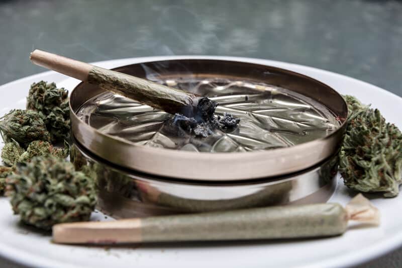 join in ashtray next to cannabis flower, signs for a marijuana break