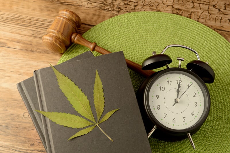 weed leaf on top of a grey book with a clock, top cannabis books