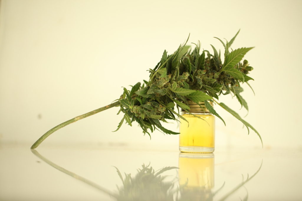 Top Benefits of CBD & THC Strains for Pain