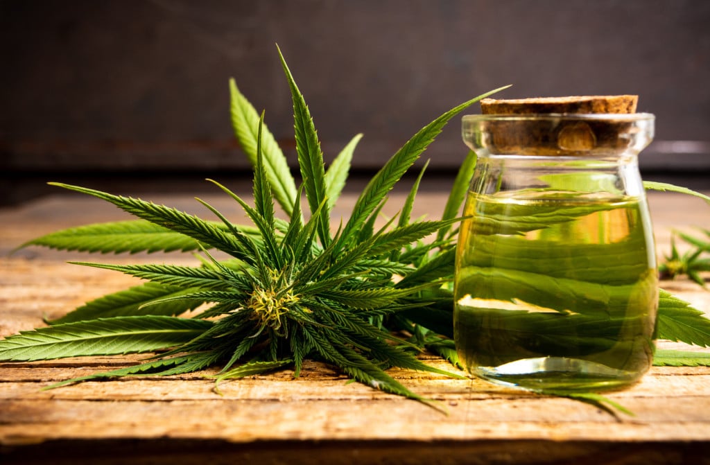 Top Cannabis Strains With Pinene Terpene