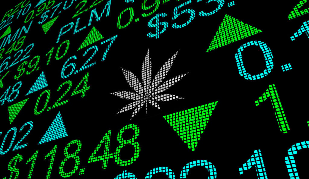How Top Company Stock Will Soon Lead Marijuana Industry. Stockmarket screen.