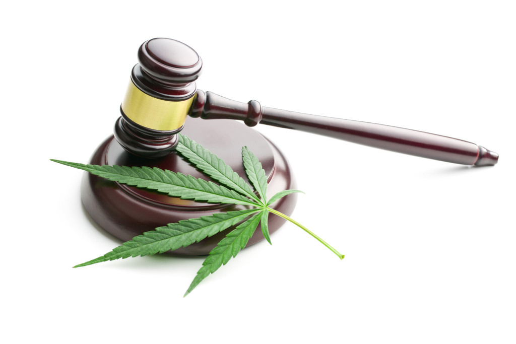 Top Things Every Cannabis Legislation Must Have