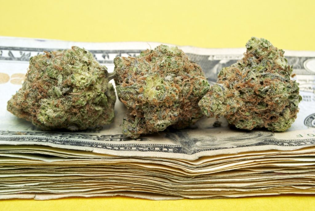 Cannabis buds on top of cash. 