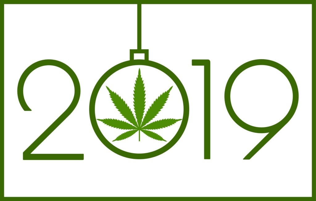 2019 calendar with cannabis leaf inside