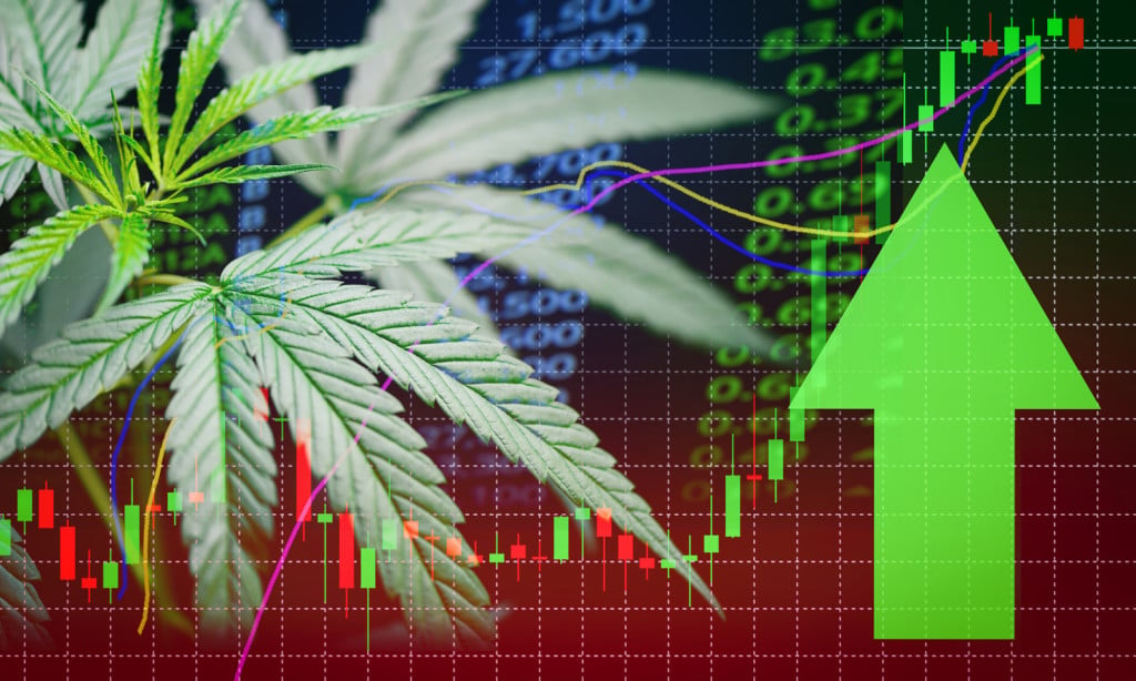 Top Cannabis Stocks To Purchase