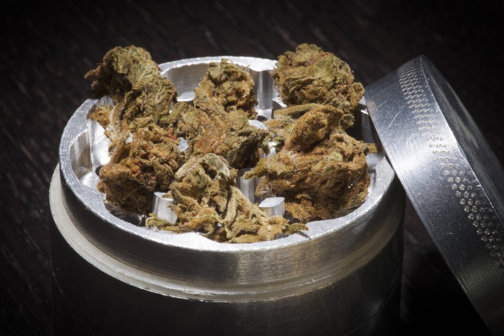 Best marijuana grinders. A marijuana grinder filled with weed.
