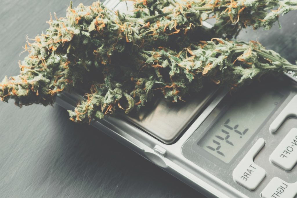 Best Marijuana Scales. Marijuana on a digital scale.