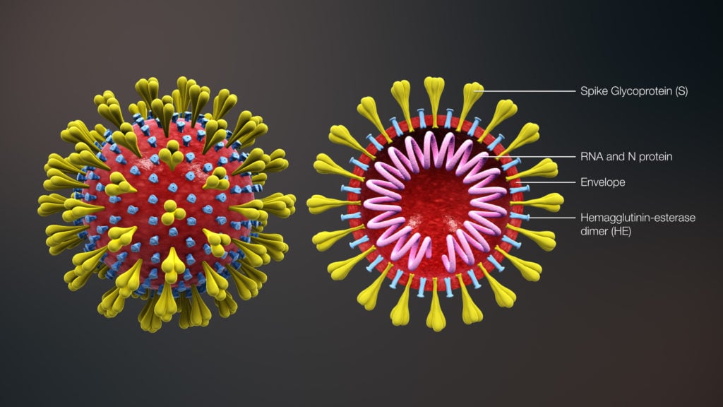 Impact of coronavirus on CBD market. Diagram of two cells.