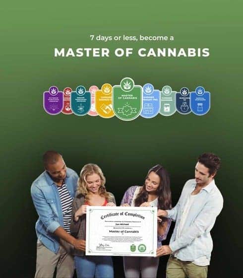 Cannabis Training University reviews