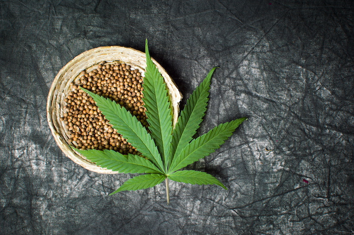 Cannabis seeds in a bowl on dark textured background, cannabis seed delivery