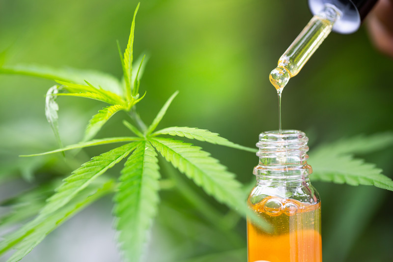 tincture of cbd oil next to marijuana leaves, ways to give your dog cbd oil