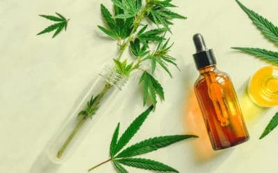 CBD Tinctures VS Oil: 3 Differences Consumers Should Know