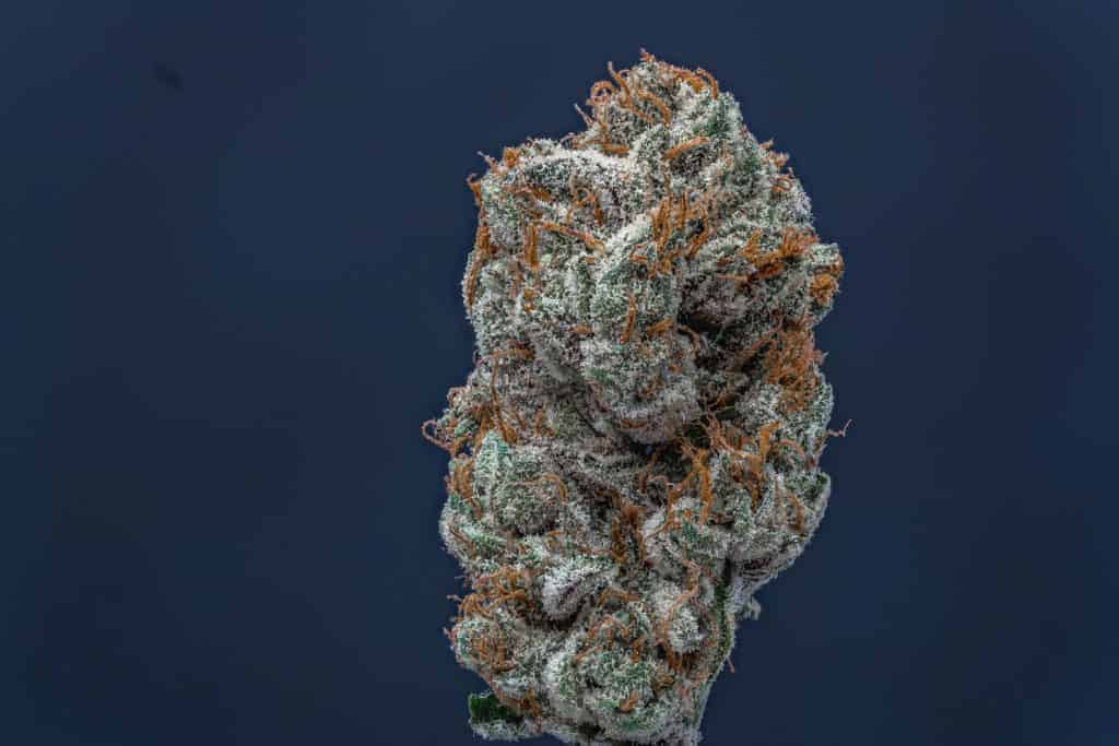 cannabis flower macro, Gruntz strain