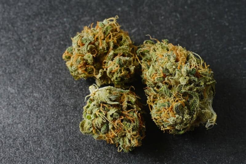cannabis buds on black surface, magic melon strain