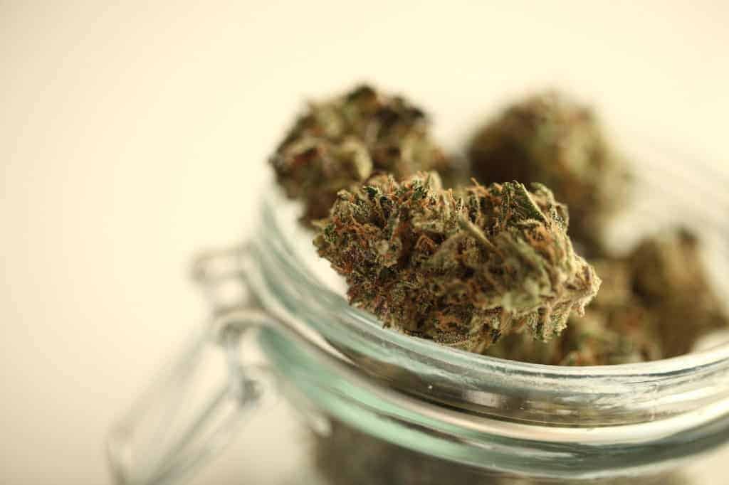 medical cannabis marijuana in a glass jar, strains for beginner home growers