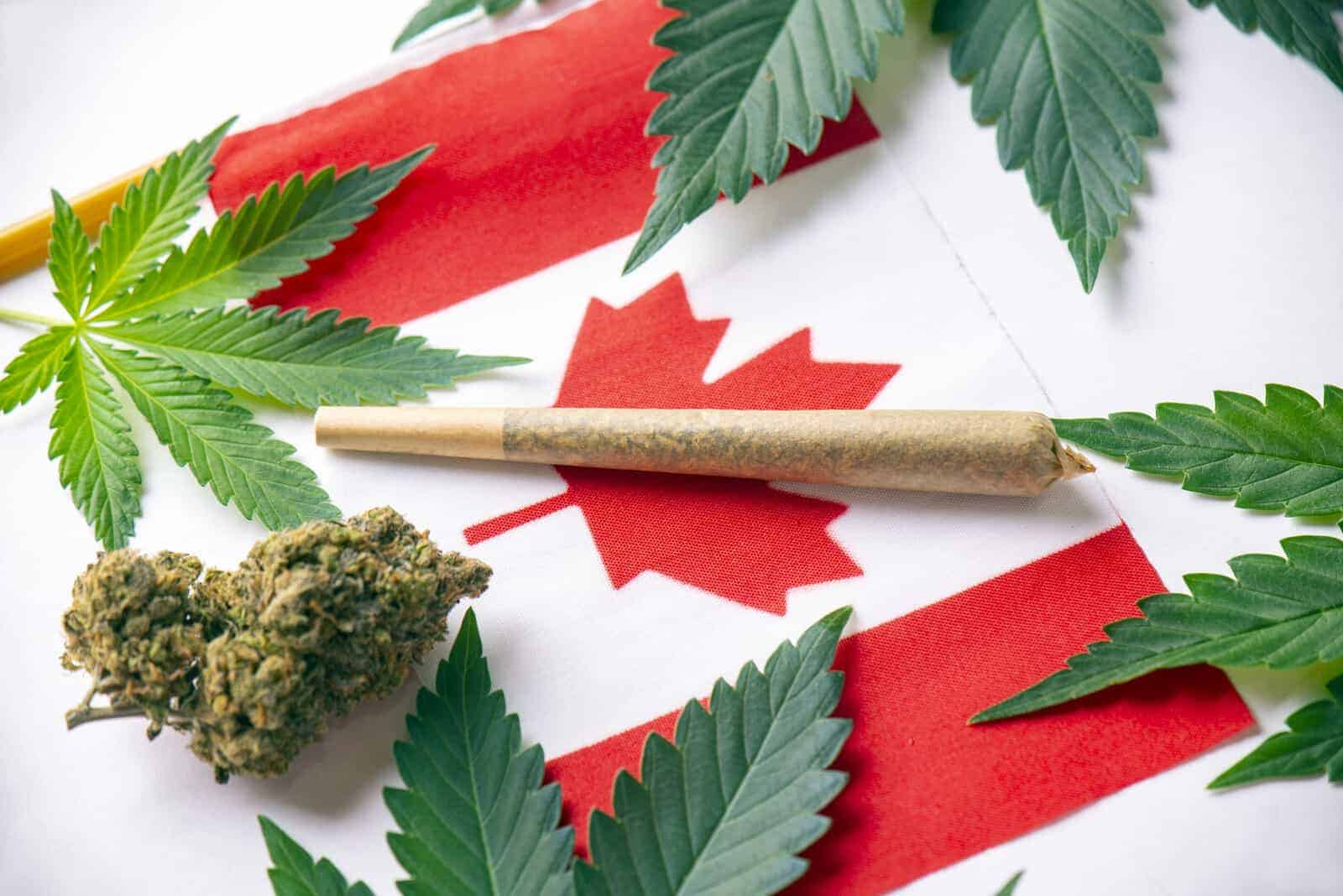 Canada flag with marijuana on it, Canadian cannabis culture