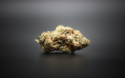 Sticky Buns Strain – Weed Review
