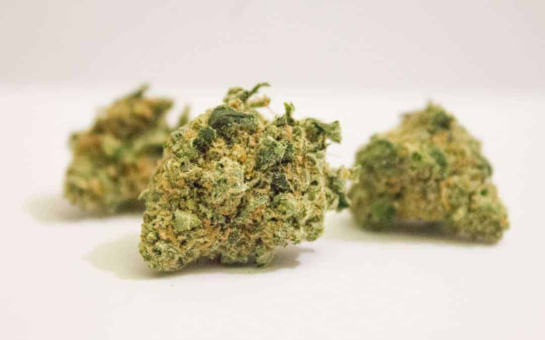 White Cookies Strain – Weed Review