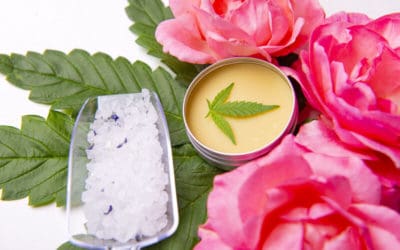 Could CBD Salve Help With Joint Pain?