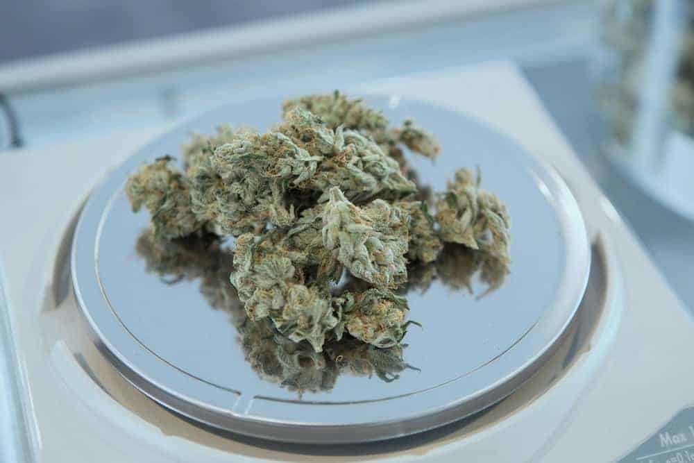 Top 5 Medical Uses for Granddaddy Purple