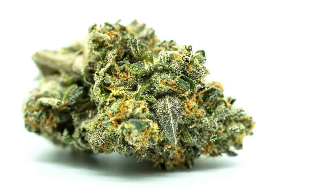 Holy Grail Strain – Weed Review