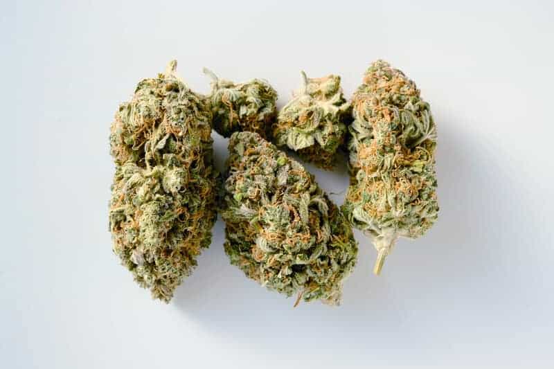 cannabis buds on white, cookies dough strain