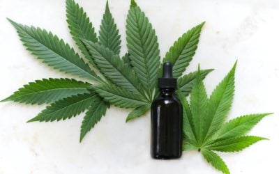 5 Common Questions About Delta-10 Tinctures Answered