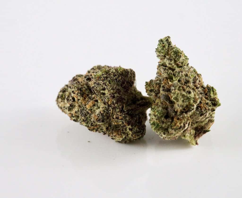 cannabis buds isolated on white, dirty sprite strain