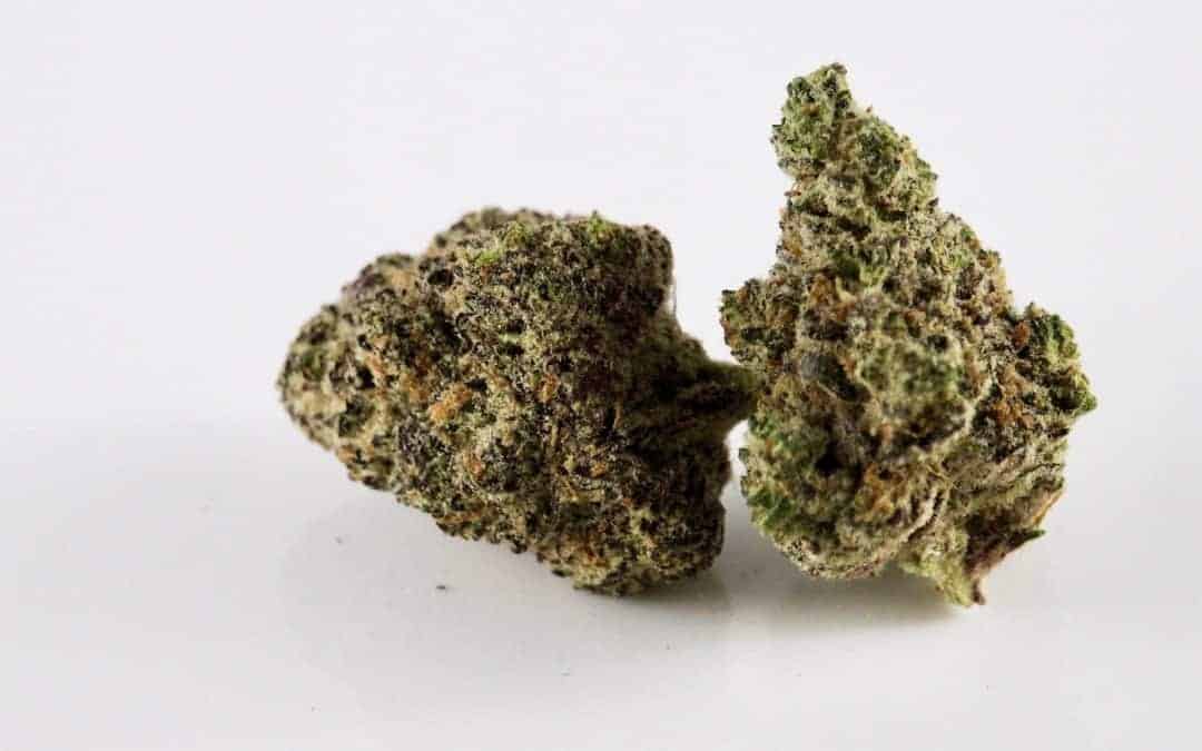 Dirty Sprite Strain – Weed Review