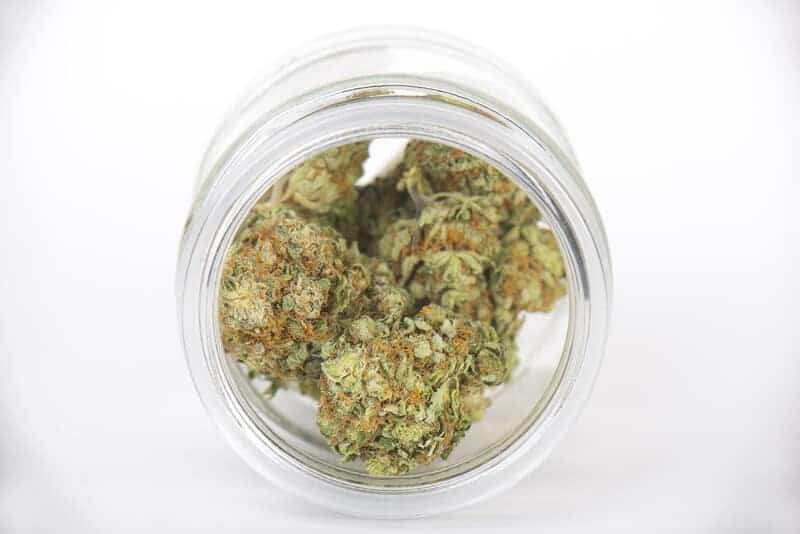 clear jar of cannabis buds, fruit punch strain