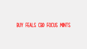 Buy Feals CBD Focus Mints