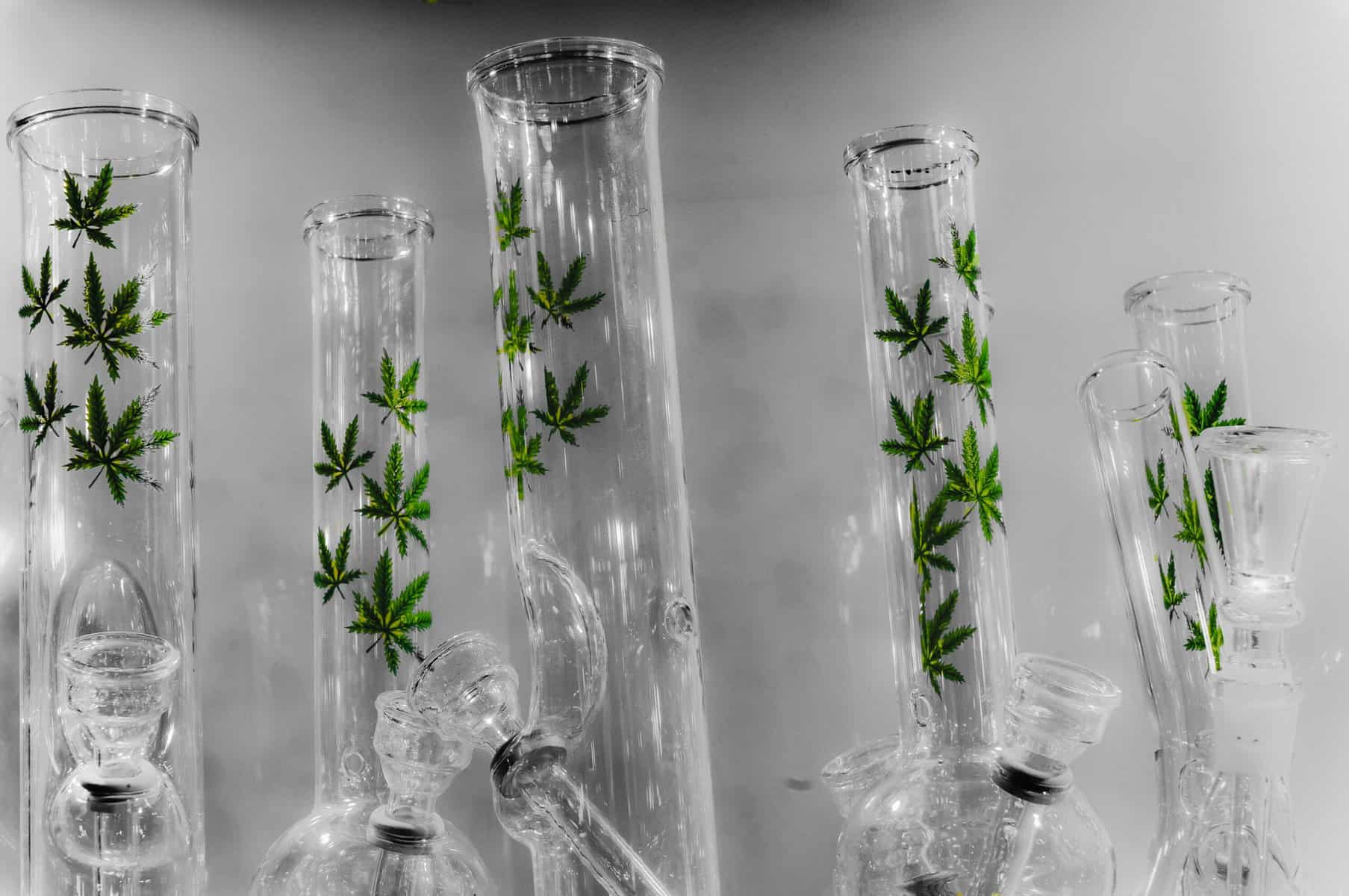 glass bongs with cannabis leaves, choosing a bong