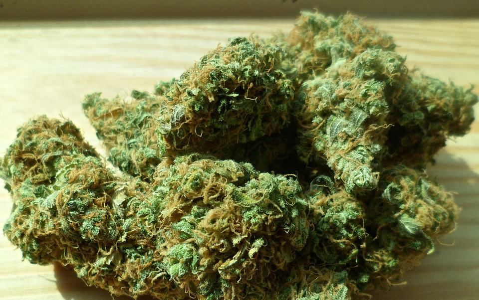 cannabis flower on a table, enhance your cannabis experience