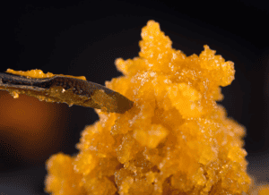 yellow dab, cannabis extraction technique