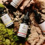 Four Seeds Hemp Oil CBD Drops tincture bottles in peppermint, lemon, orange, and natural flavors arranged on decorative moss